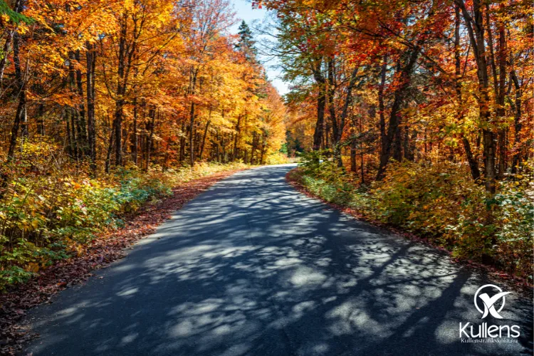 Landsväg genom hösten