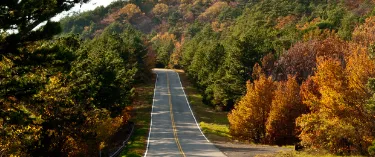 Landsväg genom hösten